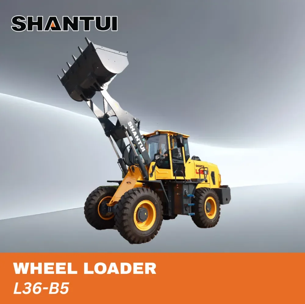 SHANTUI L55-B5 2